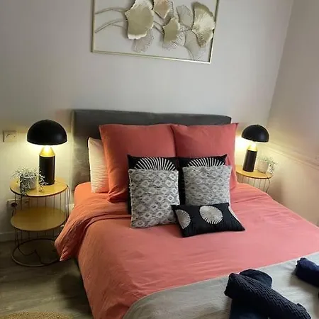 Superbe T2 De Caractère Au Centre Classé 3 étoiles Appartement *