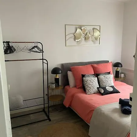 Appartement Superbe T2 De Caractère Au Centre Classé 3 étoiles *