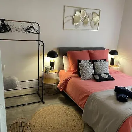 Superbe T2 De Caractère Au Centre Classé 3 étoiles Troyes