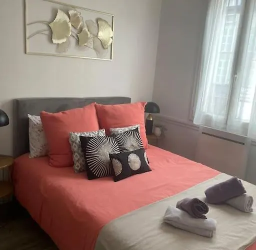 Superbe T2 De Caractere Au Centre Classe 3 Etoiles Διαμέρισμα