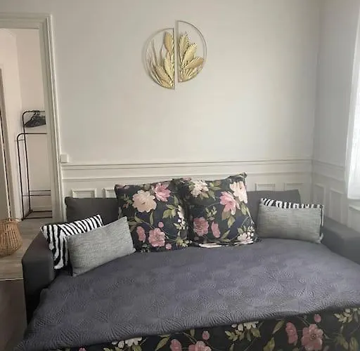 Superbe T2 De Caractere Au Centre Classe 3 Etoiles *